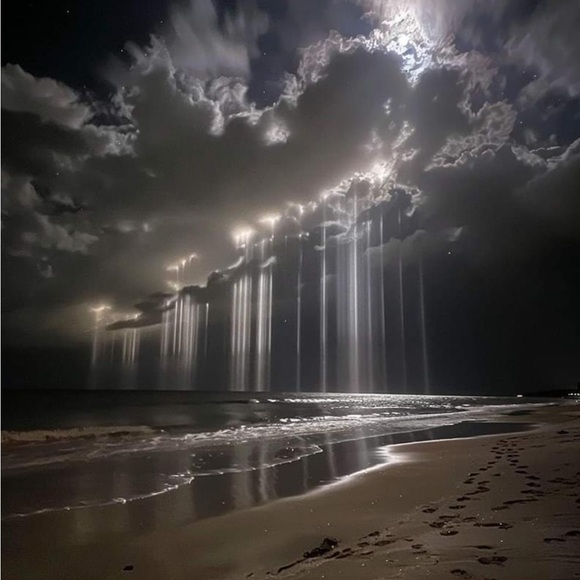 Genuine Elite Shungite EMF Protection - Picture 8 of 8